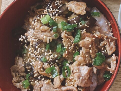 なすと豚肉のスタミナ丼